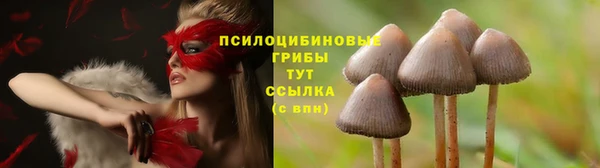 герыч Костерёво