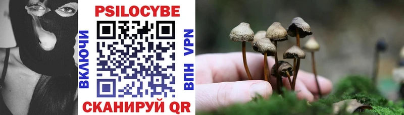 Галлюциногенные грибы Psilocybe  Югорск 
