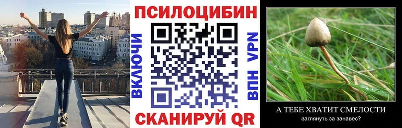 Псилоцибиновые грибы прущие грибы Югорск