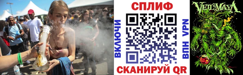 Каннабис индика Югорск